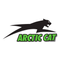 Autocollant ARTIC CAT - Go lettrage - Sticker Art Online
